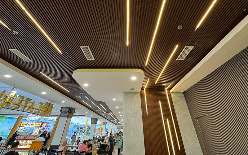 Wall panel WPC
